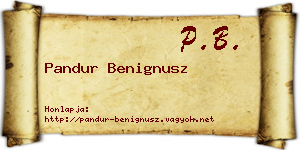 Pandur Benignusz névjegykártya